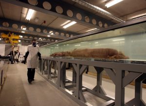 First-Ever Footage of Colossal Squid Captured in Deep Sea